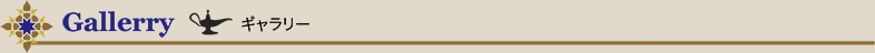 ギャラリー